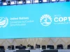 COP17: UN Land Summit Ends With $1.3bn Financing Push for Land Restoration and Drought Resilience