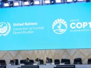 COP17: UN Land Summit Ends With $1.3bn Financing Push for Land Restoration and Drought Resilience