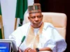 Nigeria Will Not Accept Mistreatment of Citizens in South Africa — Shettima
