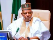 Nigeria Will Not Accept Mistreatment of Citizens in South Africa — Shettima