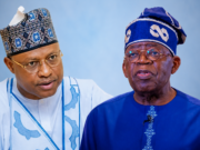 2027: Musa Predicts Tinubu Victory, Says APC Will Retain Kaduna