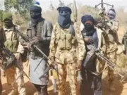 Bandits Raid Sokoto Community, INEC Worker Reportedly Abducted