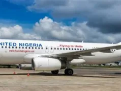 Bird Strike Forces United Nigeria Aircraft to Remain Grounded in Lagos