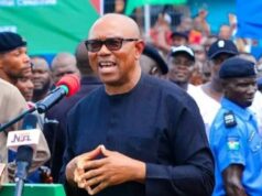 Alia, Obi Face Off Over Controversial Blockade of Benue Trip