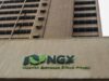 Nine NGX-Listed Companies Record Negative Shareholders’ Funds