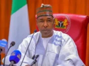 Borno APC Credits Grassroots Strength and Governance for Its Political Dominance