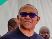2027: Peter Obi Says He Would Take Full Control of Government If Elected