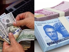 Naira Holds Steady Against Dollar as Black-Market Rates Remain Above ₦1,350