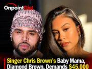 Chris Brown’s Baby Mama Seeks $45,000 Monthly Support For Daughter