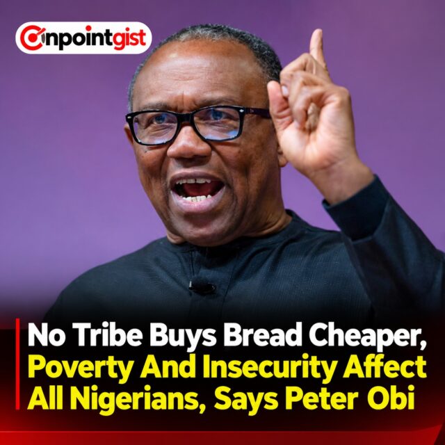 Peter Obi Emphasizes Nigeria’s Shared Challenges (1)