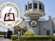 FCT Teachers: ASUSS Rejects Strike, Orders Members Back to Classrooms