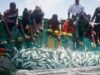 Nigeria, Ghana Deepen Fisheries Cooperation, Target Illegal Fishing Through Tighter Vessel Controls