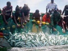 Nigeria, Ghana Deepen Fisheries Cooperation, Target Illegal Fishing Through Tighter Vessel Controls